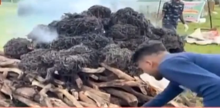 साल के जंगलों पर मंडराते खतरे के खिलाफ बड़ी कार्रवाई, 19.25 लाख साल बोरर कीट जलाकर नष्ट 1 1e72640b 88c9 4cc5 a4fb 791fbd446731