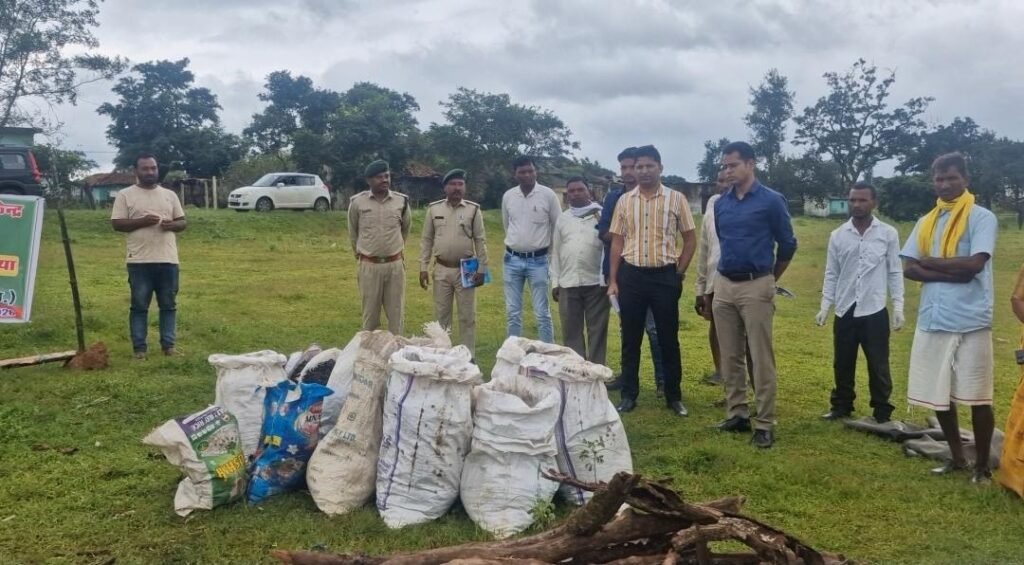 साल के जंगलों पर मंडराते खतरे के खिलाफ बड़ी कार्रवाई, 19.25 लाख साल बोरर कीट जलाकर नष्ट 2 8c150b41 115e 4678 85fc da54e0eae5e6