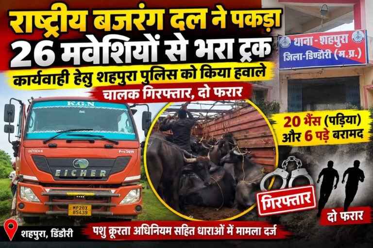 राष्ट्रीय बजरंग दल ने पकड़ा 26 मवेशियों से भरा ट्रक, कार्रवाई के लिए शहपुरा पुलिस को सौंपा; चालक गिरफ्तार, दो फरार WhatsApp Image 2026 09 12 at 20.41.05 1