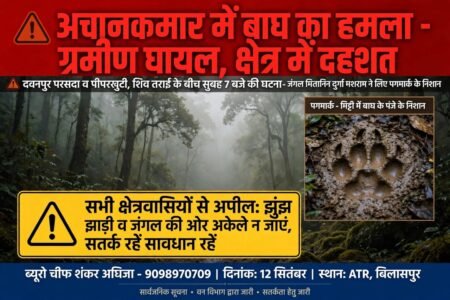 ATR में बाघ का हमला, दवनपुर निवासी घायल – क्षेत्र में दहशत* WhatsApp Image 2026 09 13 at 09.12.38