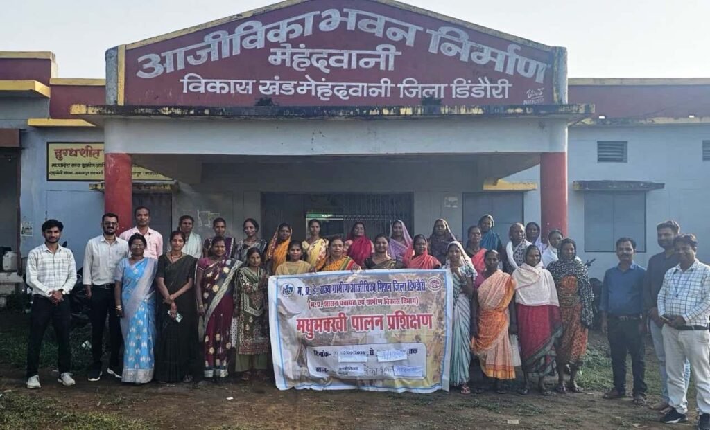 मधुमक्खी पालन से बढ़ेगी आय, आत्मनिर्भरता की ओर बढ़ेंगी आजीविका दीदियां 0511021c cda8 4cf8 b882 081171e07af6