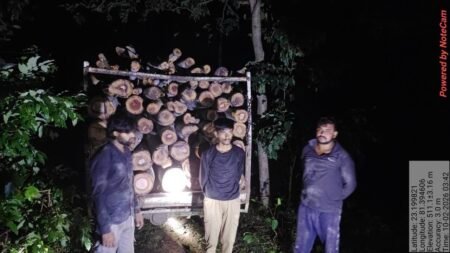 अवैध रूप से नीलगिरी के पेड़ काटकर ले जा रहे 3 आरोपी गिरफ्तार, पिकअप वाहन और आरा मशीन जप्त 3b8f66db 34f4 4788 a9af 2213e0698d5a 1