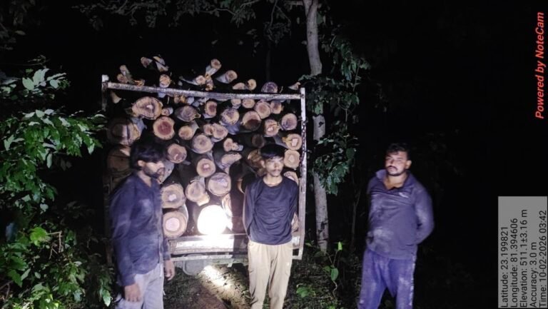 अवैध रूप से नीलगिरी के पेड़ काटकर ले जा रहे 3 आरोपी गिरफ्तार, पिकअप वाहन और आरा मशीन जप्त 3b8f66db 34f4 4788 a9af 2213e0698d5a 1