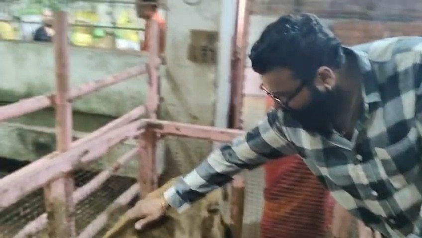 समाजसेवी एवं युवा नेता विवेक (मोंटी) जोशी का जन्मदिवस उल्लासपूर्वक संपन्न, गौ-सेवा और सद्भावना के साथ लिया जनकल्याण का संकल्प 2 8bc5f341 8bfc 4009 95ae 31276440221c