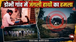 डोभी गांव में जंगली हाथी का किसान पर हमला, क्षेत्र मे दहशत, वन विभाग अलर्ट 8d4c63c8 1cdb 4677 ba23 1b35a16eea94