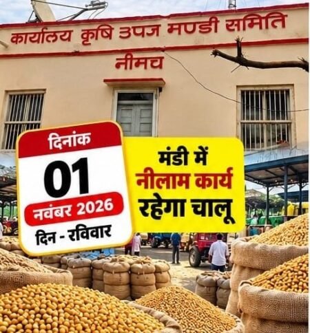 दीपावली त्योहार पर किसानों के लिए खुशखबरी, नीमच मंडी 1 नवंबर रविवार को भी रहेगी चालू cd1aca13 978f 427c bfc1 e5cde0393895